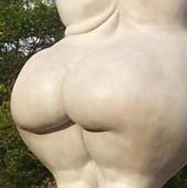 hinterteil