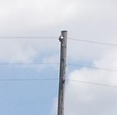 leitung
