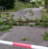 nach dem Orkan