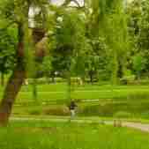 parklandschaft