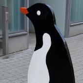 pinguin