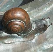 Bonif. Stirnberg - Stadtbrunnen - Ebingen - Sonnenstraße