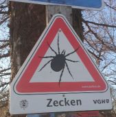 zecke